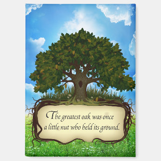 Greatest Oak was just a little nut Magnet