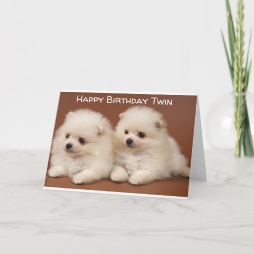 GREATEST THINGS COME IN PAIRS TWIN BIRTHDAY CARD