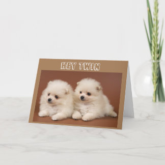 GREATEST THINGS COME IN *PAIRS* TWIN BIRTHDAY CARD