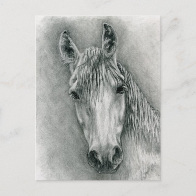 Greco Postcard (Front)