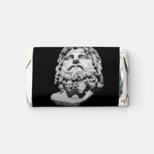 Greco Roman Marble Bust Classical Black and White Hershey's Miniatures