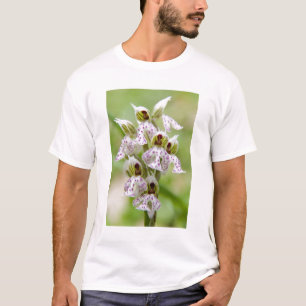 Greece, Crete. Orchid in bloom Orchis T-Shirt