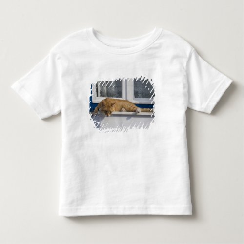 Greece Mykonos Curious orange tabby cat looks Toddler T_shirt