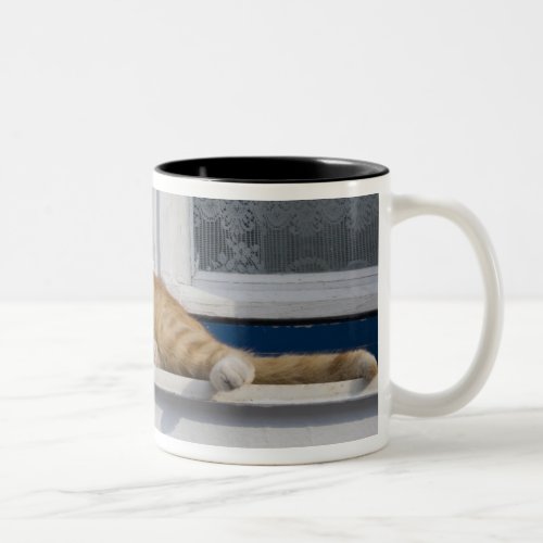 Greece Mykonos Curious orange tabby cat looks Two_Tone Coffee Mug