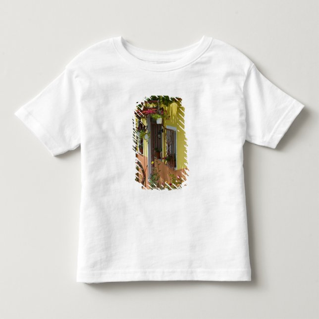 GREECE, Northeastern Aegean Islands, LESVOS Toddler T-shirt (Front)
