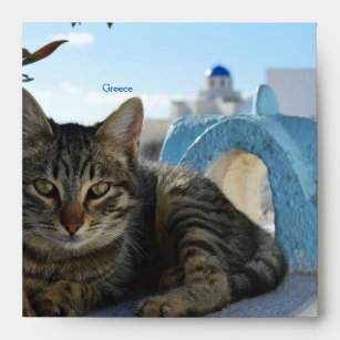 Greece Santorini : Cats Envelope