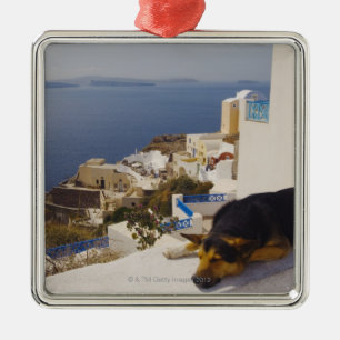 Greece, Santorini Island, Oia City, dog sleeping Metal Ornament