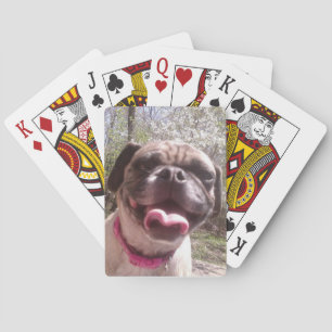 Greedo's Mother Ken Gage Photography Dog Poker Cards