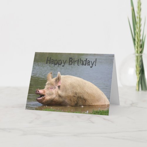 Greedy pig Birthday Card