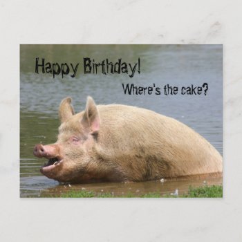 Greedy Pig Birthday Postcard by deemac1 at Zazzle