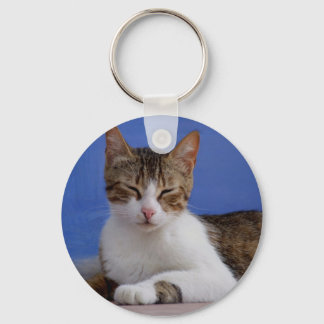 Greek Cat Keychain