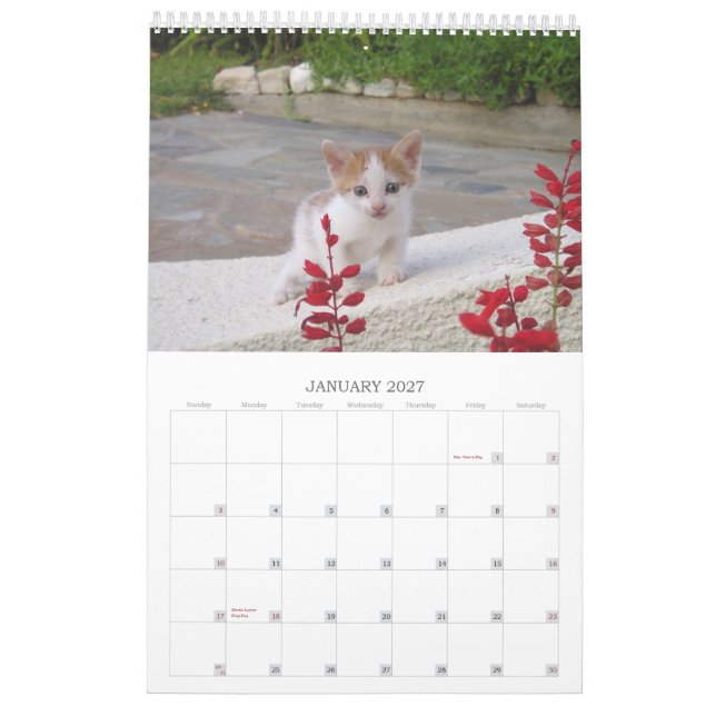 Greek Cats Calendar (Jan 2027)