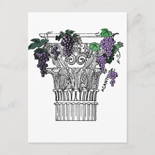 Greek Column Postcard (Front)