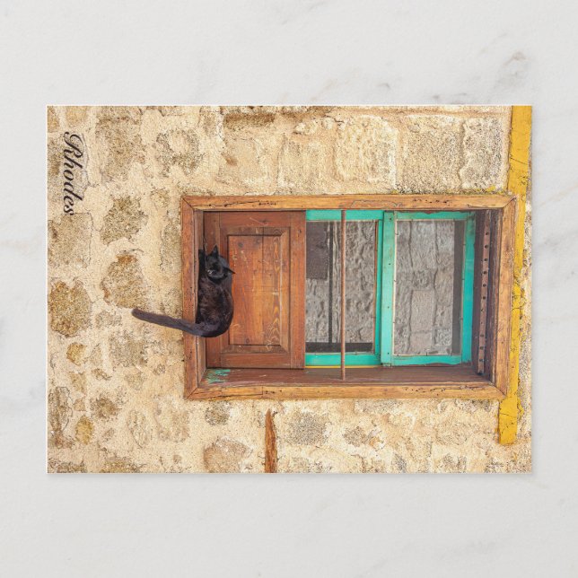 Greek Feline Postcard (Front)