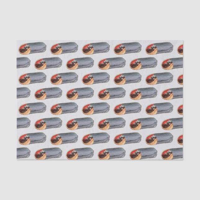 Greek Gyro Pita Meat Sandwich Mediterranean Food Tissue Paper (Front)
