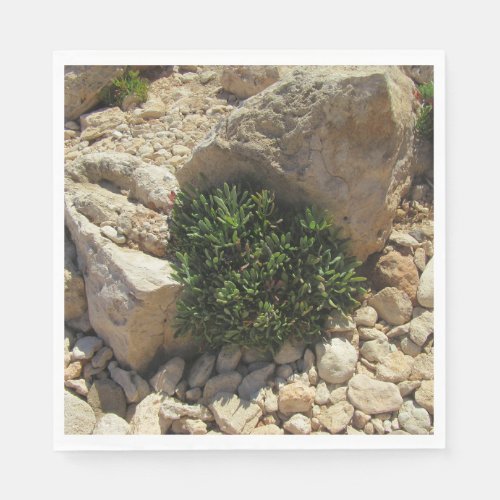 Greek Islands Mediterranean Landscape Greenery Napkins