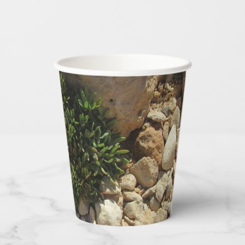 Greek Islands Mediterranean Landscape Greenery  Paper Cups
