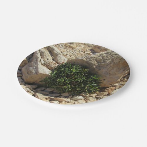 Greek Islands Mediterranean Landscape Greenery Paper Plates