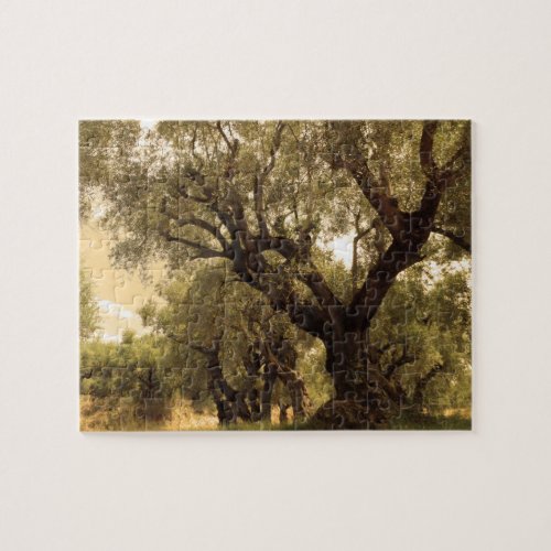 Greek Olive Grove Jigsaw Puzzle