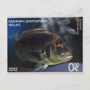 Greek postage stamp Common dentex   Postcard