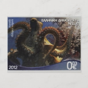 Greek postage stamp Common octopus    Postcard