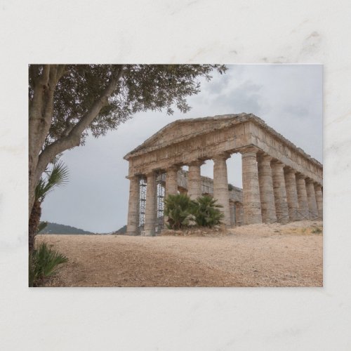 Greek temple at Segesta Sicily Postcard