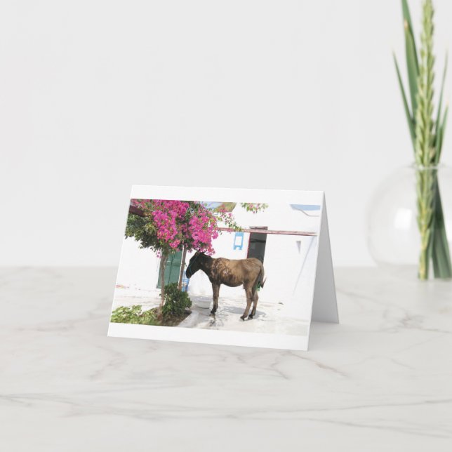 GreekIslandHouse.com Donkey Mascot Opa! Card (Front)