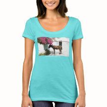 GreekIslandHouse.com Donkey Mascot