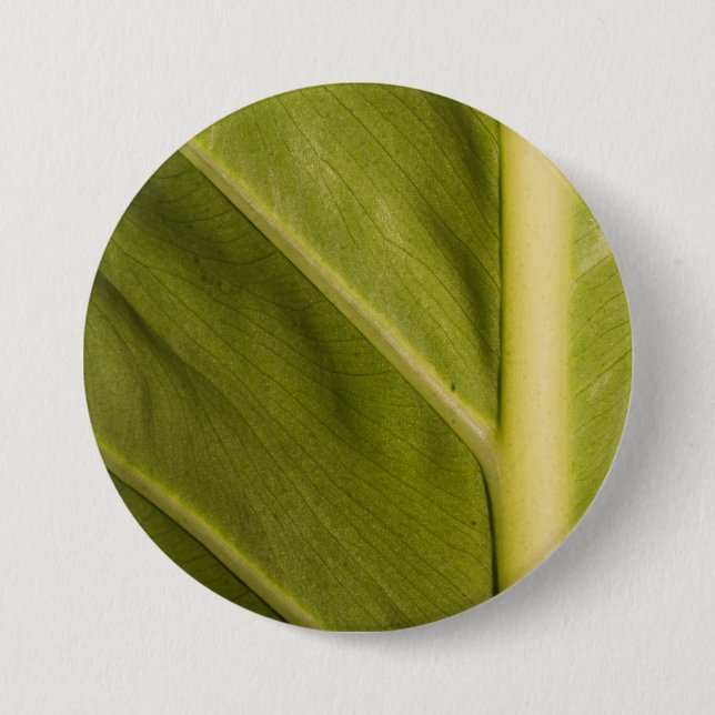 Green 01 button (Front)