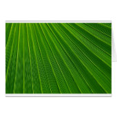 Green Abstract Background (Front Horizontal)