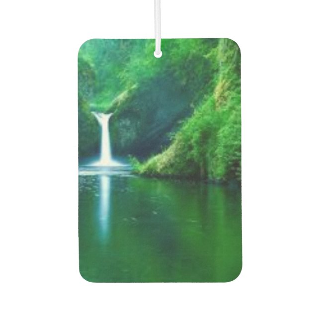 Green Abstract Moss Texture iPhone Case Air Freshener (Front)