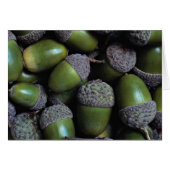 Green Acorn nuts (Front Horizontal)