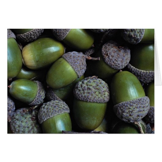 Green Acorn nuts Cards (Front Horizontal)
