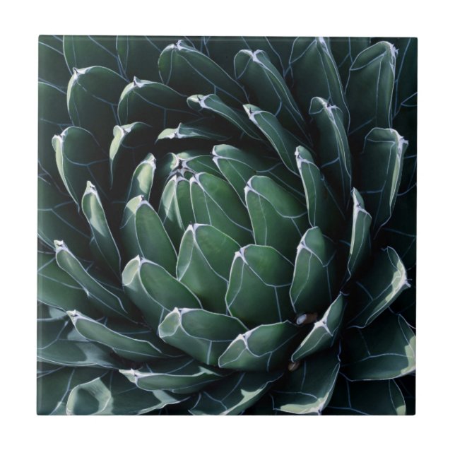 Green Agave Ceramic Tile (Front)