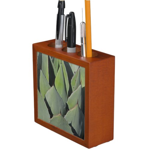 Green Agave Leaves Botanical Photo Southwest Desk Organizer