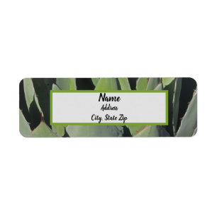 Green Agave Leaves Botanical Photo Southwest Label