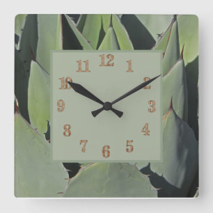 Green Agave Leaves Botanical Photo Southwest Square Wall Clock