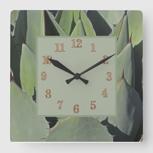 Green Agave Leaves Botanical Photo Southwest Square Wall Clock (Front)
