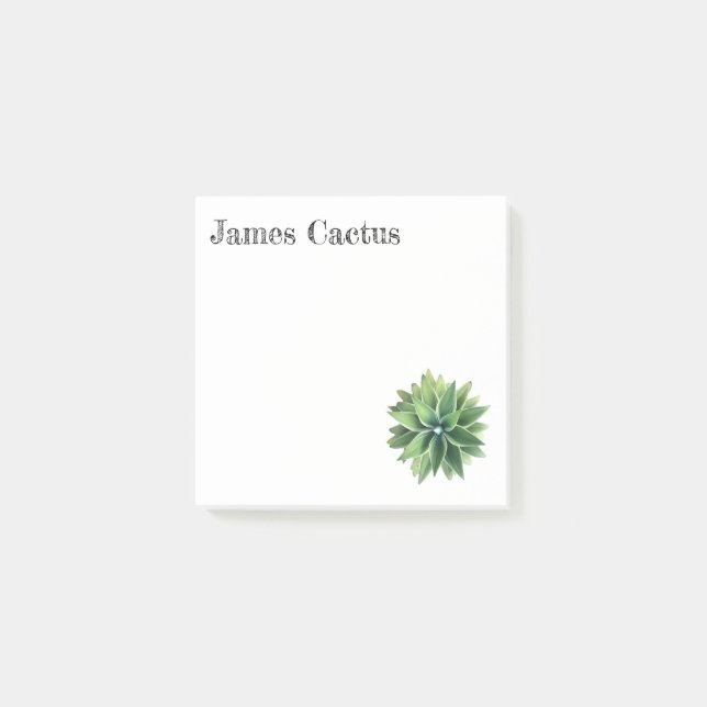 Green Agave Succulent Notes (Front)