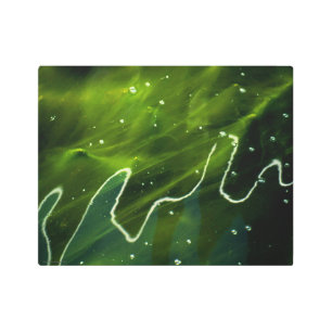 Green Algae and Water 14x11 (35x27.5cm) wamecnm Metal Print