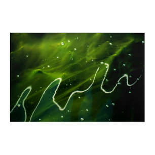 Green Algae and Water 36x24 (90x60cm) waacna Acrylic Print