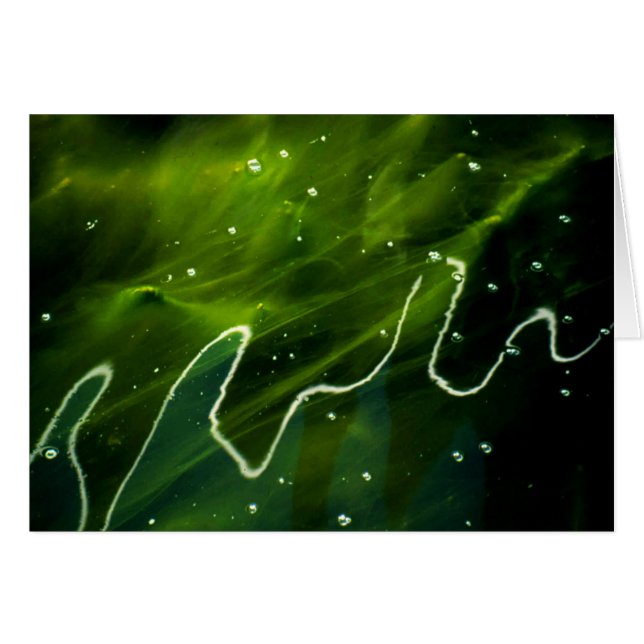 Green Algae and Water gccnm Cards (Front Horizontal)