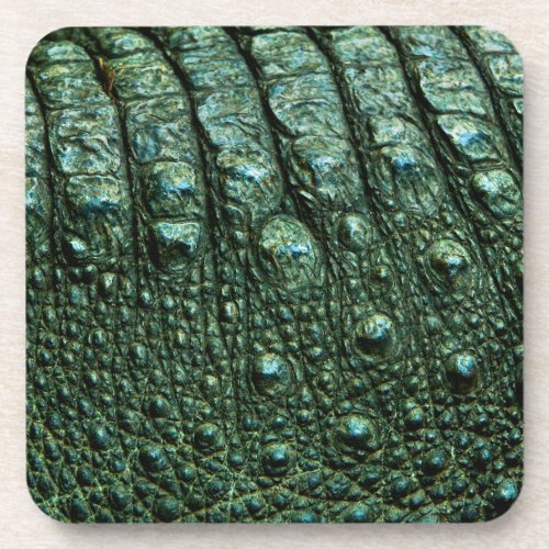 Green Alligator Skin Texture Beverage Coaster