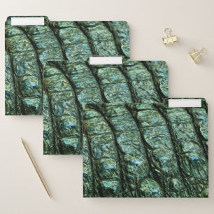 Green Alligator Skin Texture File Folder