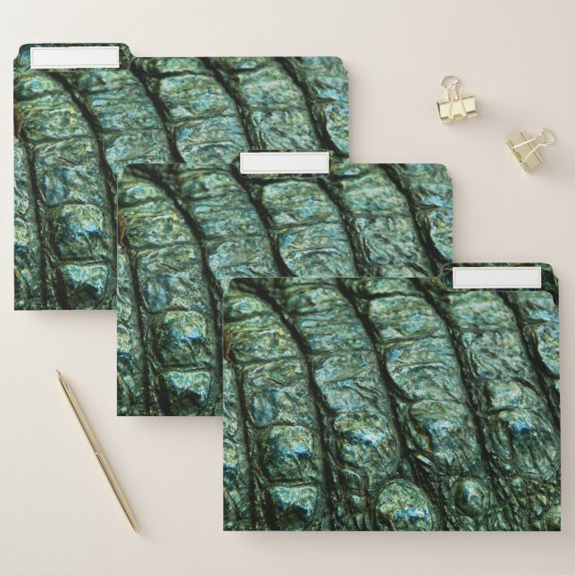 Green Alligator Skin Texture File Folder (Set)