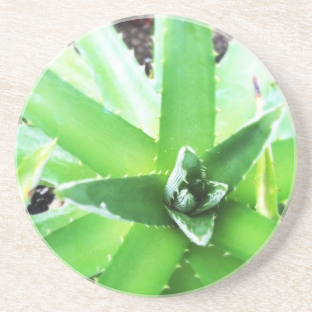Green Aloe Drink Coaster (Front)