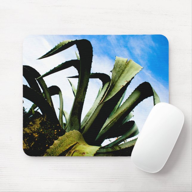 Green Aloe Plant with Bright Blue Sky Mouse Pad (With Mouse)