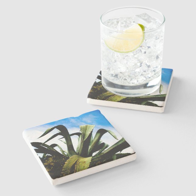 Green Aloe Plant with Bright Blue Sky Stone Coaster (Side)