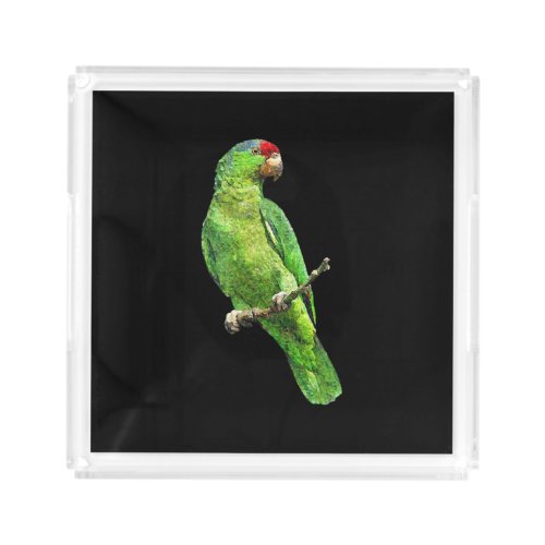 Green Amazon Parrot Bird T Acrylic Tray