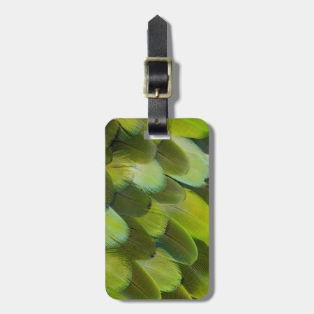 Green Amazon Parrot Feathers Luggage Tag